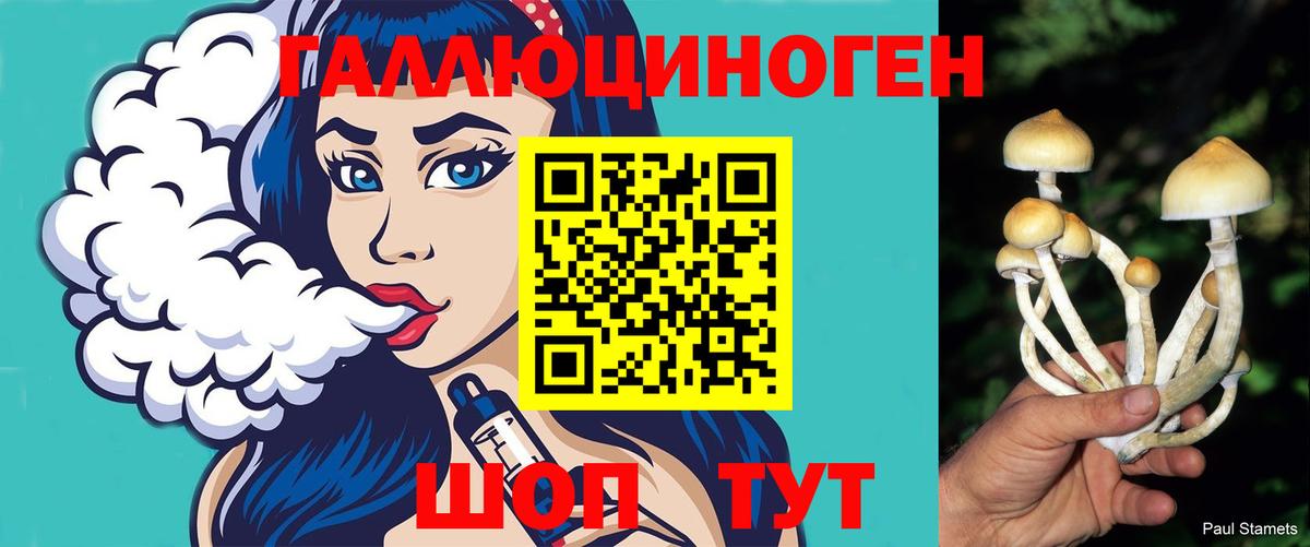 Галлюциногенные грибы прущие грибы  закладка  Элиста  Вход с VPN 